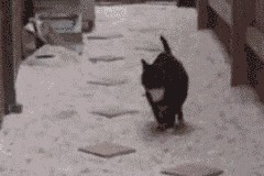 华体会-当欧冠决赛的灯光，照亮天山脚下的战场