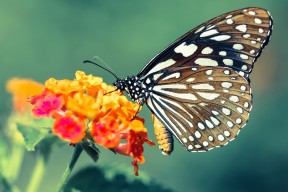 华体会官网-冰封三载，一夜逢春，奥运周期关键战之夜，格列兹曼压力下完成爆发