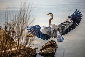 华体会-绿茵场上的篮球魂，76人拿下凯尔特人，塔图姆在意甲式焦点战中接管比赛