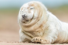 华体会体育-铜墙铁壁定江山，摩纳哥式防守哲学如何启示德甲争冠终局战